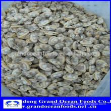 Frozen Venerupis Variegata clam meat